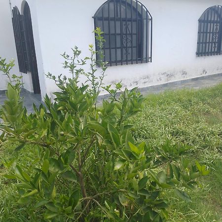 Hostel Alto Alberdi コルドバ エクステリア 写真